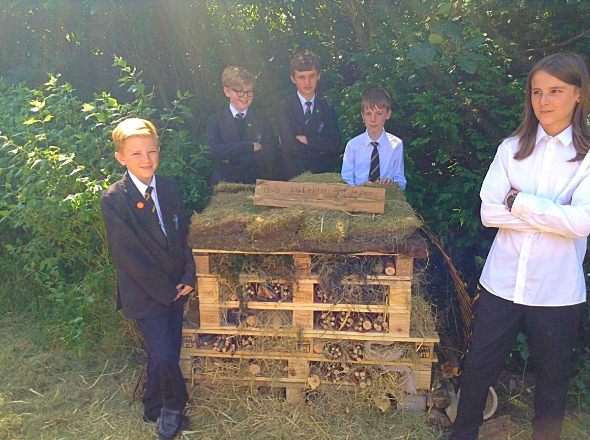Image of Welcoming wildlife with a 'Bug Hotel' at LSA 